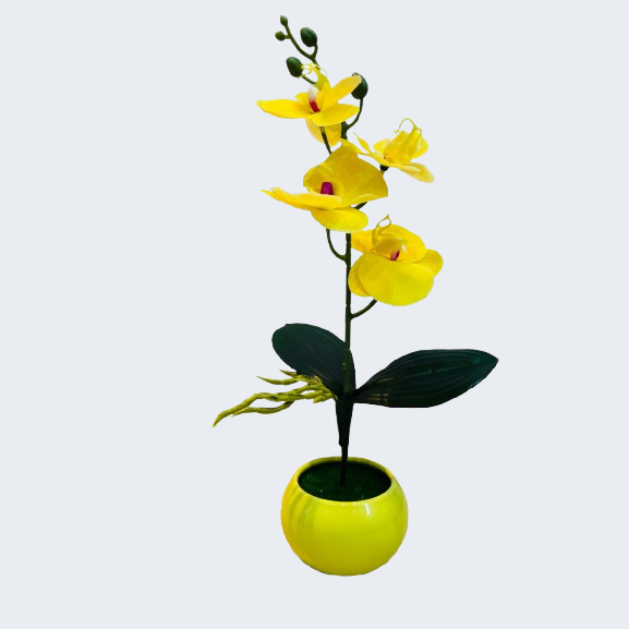 Cactus Artificial Decor