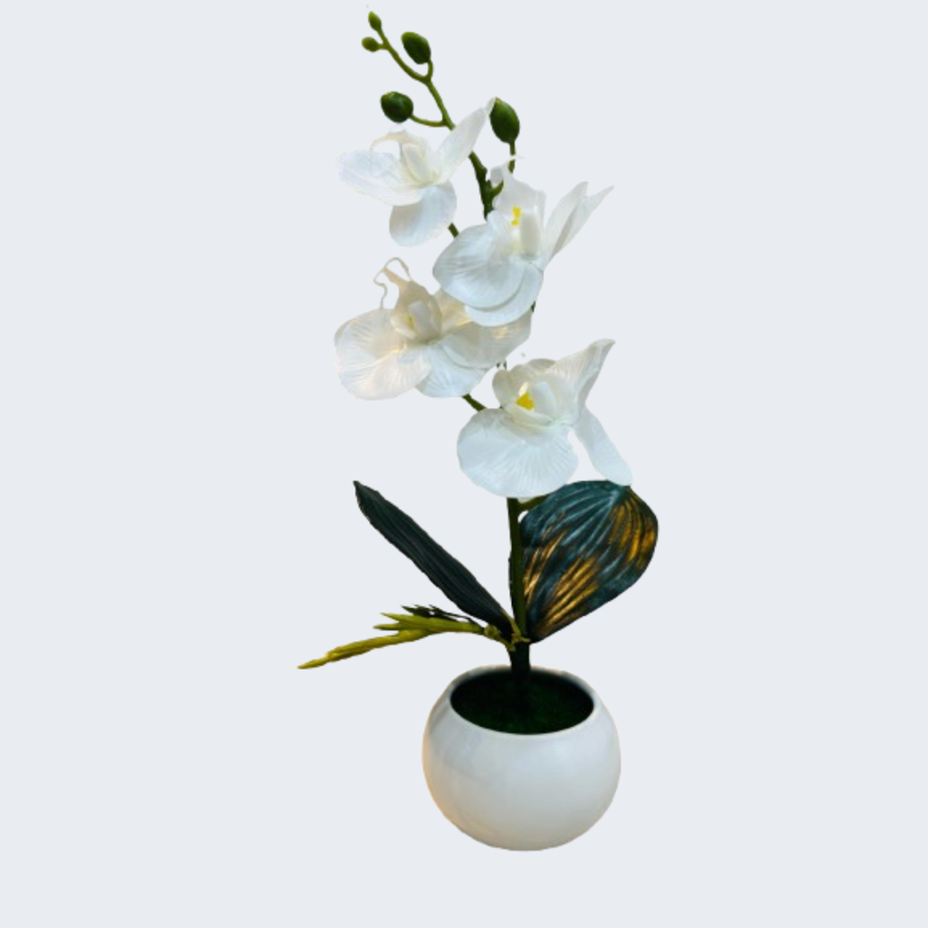 Cactus Artificial Decor