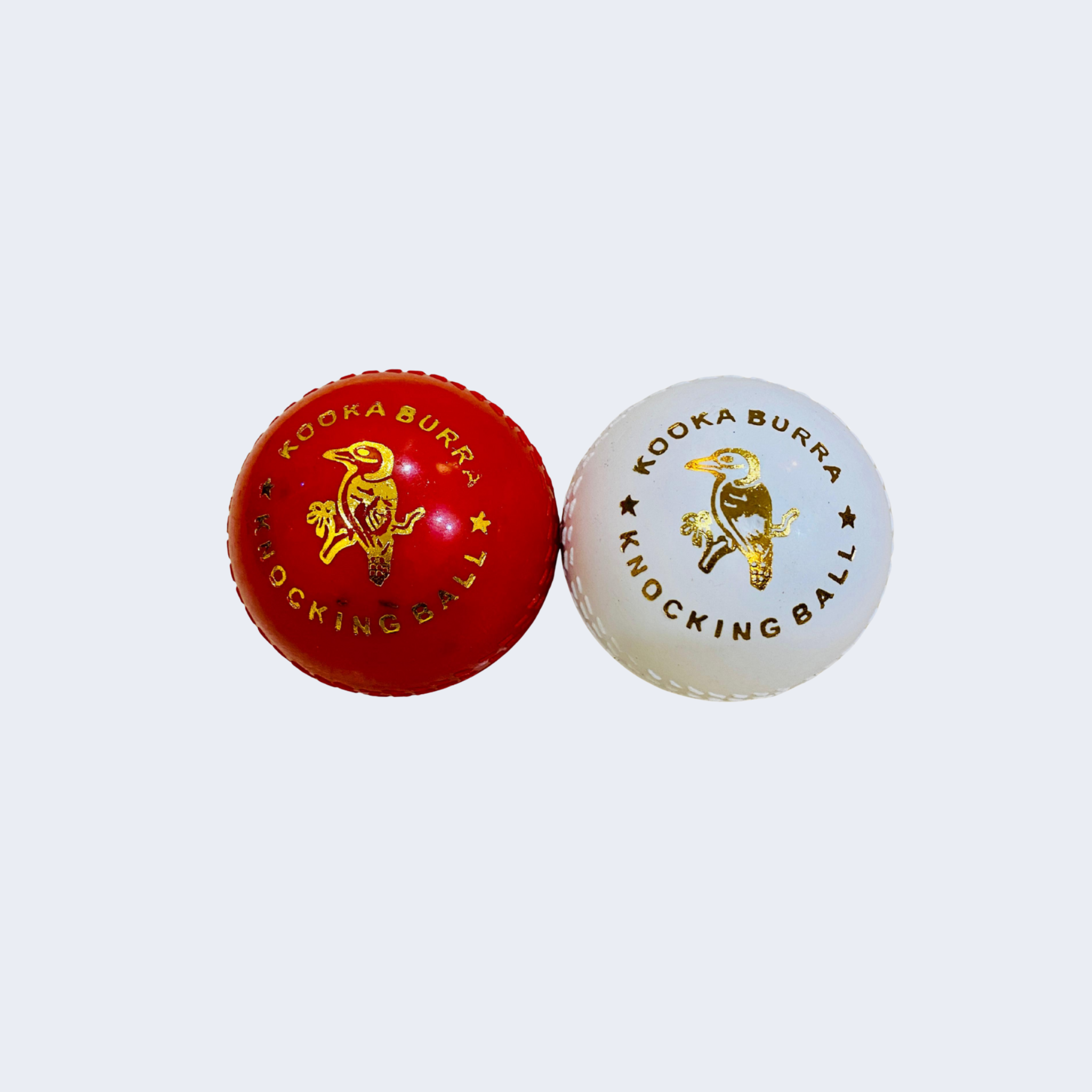 Kookaburra Knocking Cricket Practice Ball